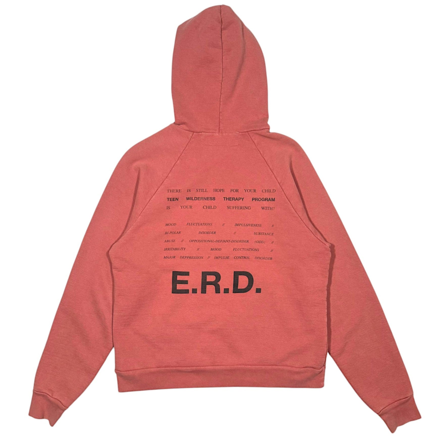 ERD Hoodie