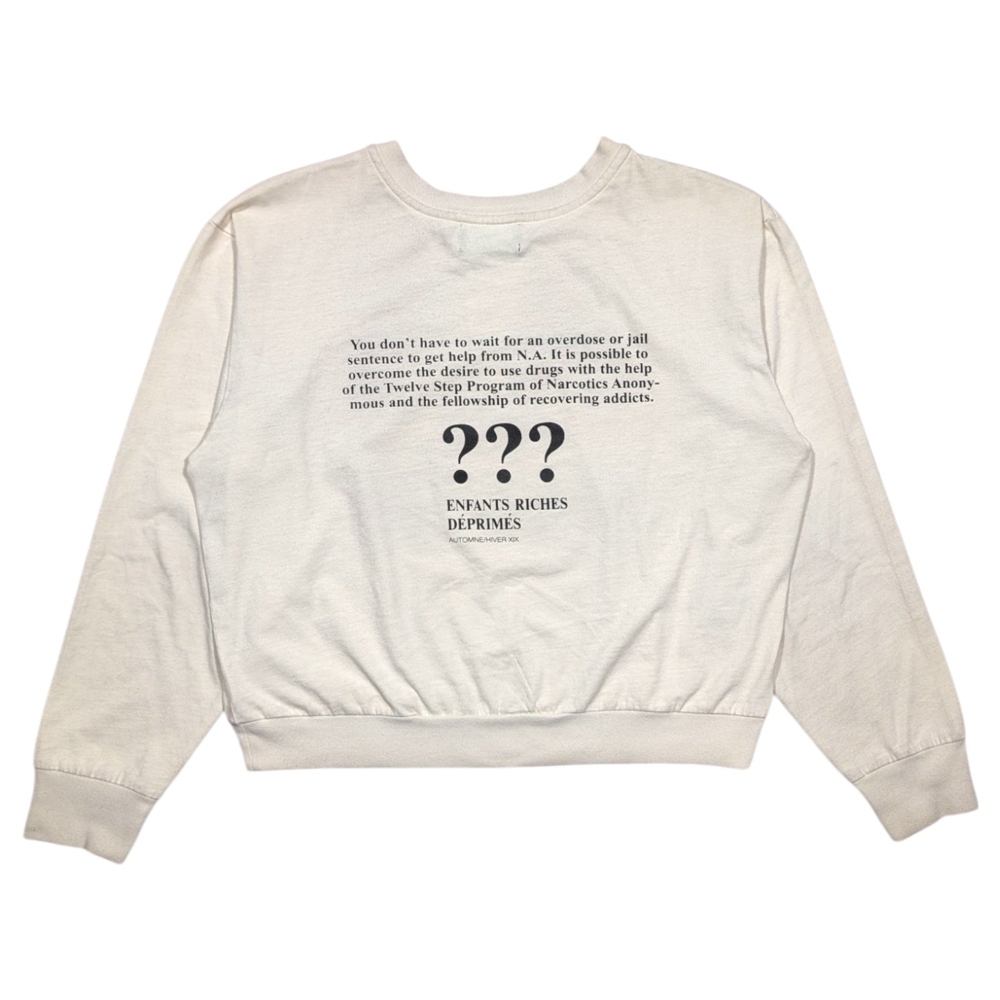 NA 'Drug Problem?' Crewneck LS T-Shirt