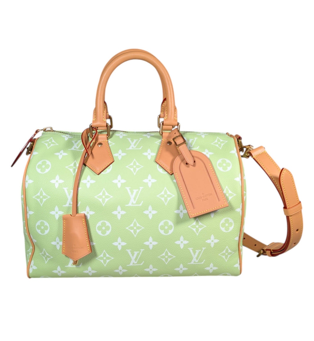 louis vuitton speedy 25