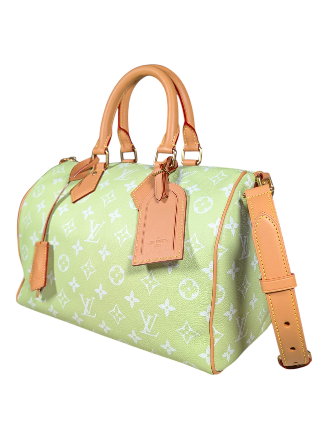 louis vuitton speedy bag
