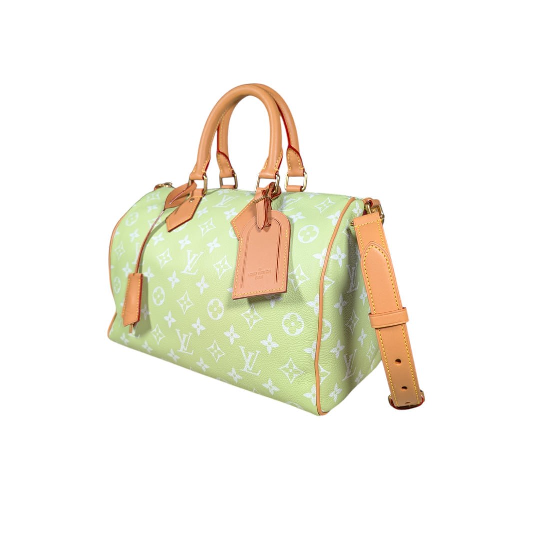 louis vuitton speedy bag
