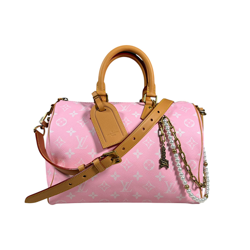 louis vuitton speedy bag