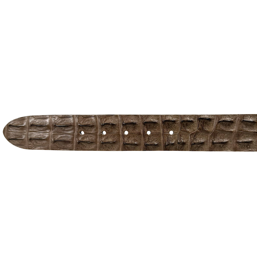 belt crocodile