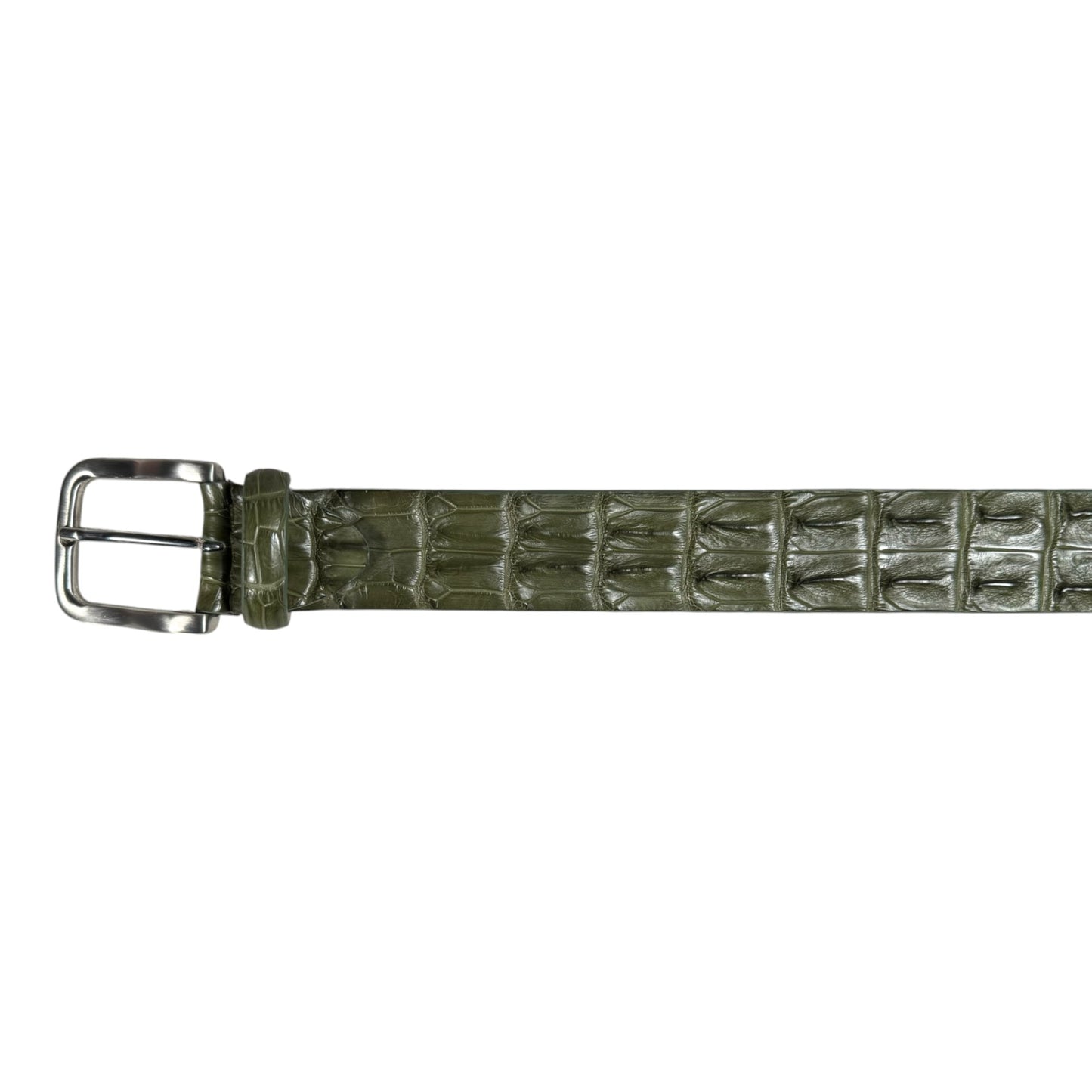 Olive Bone Crocodile Belt