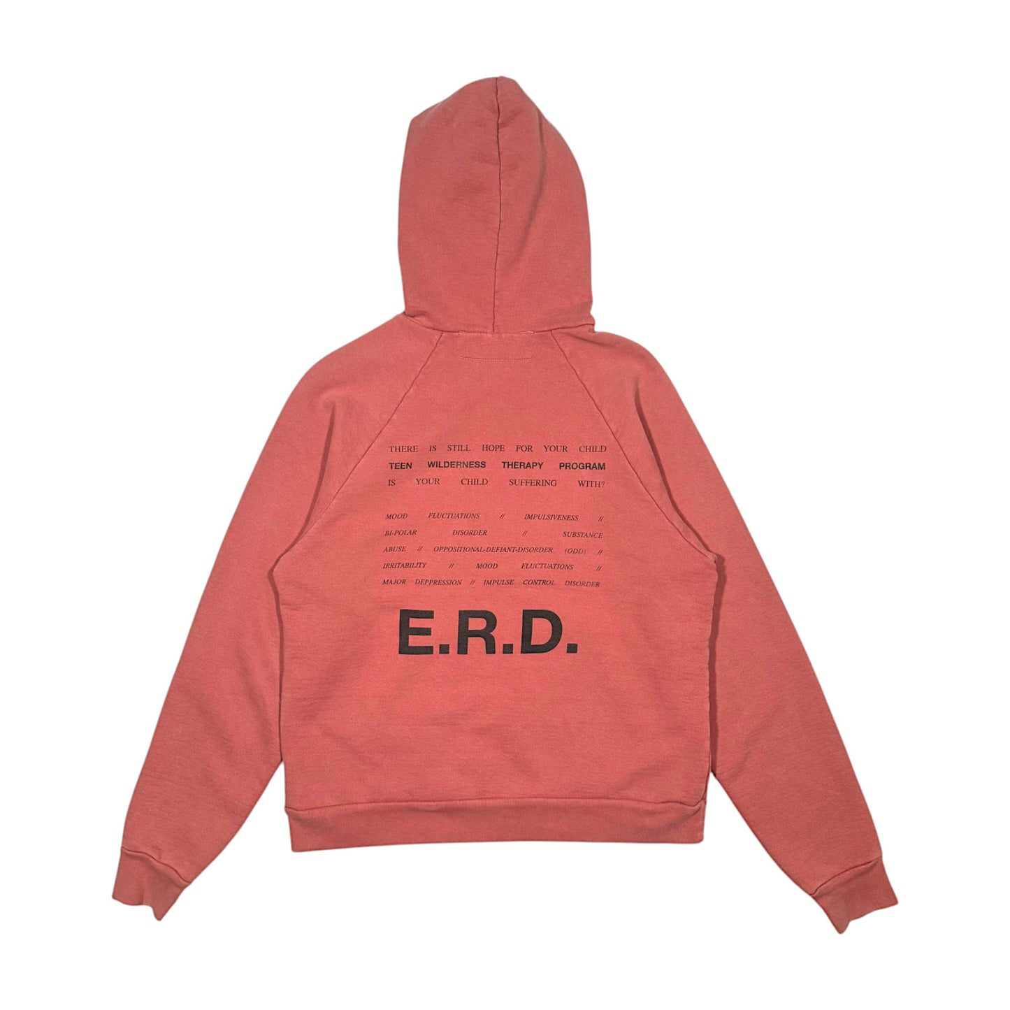 ERD Hoodie