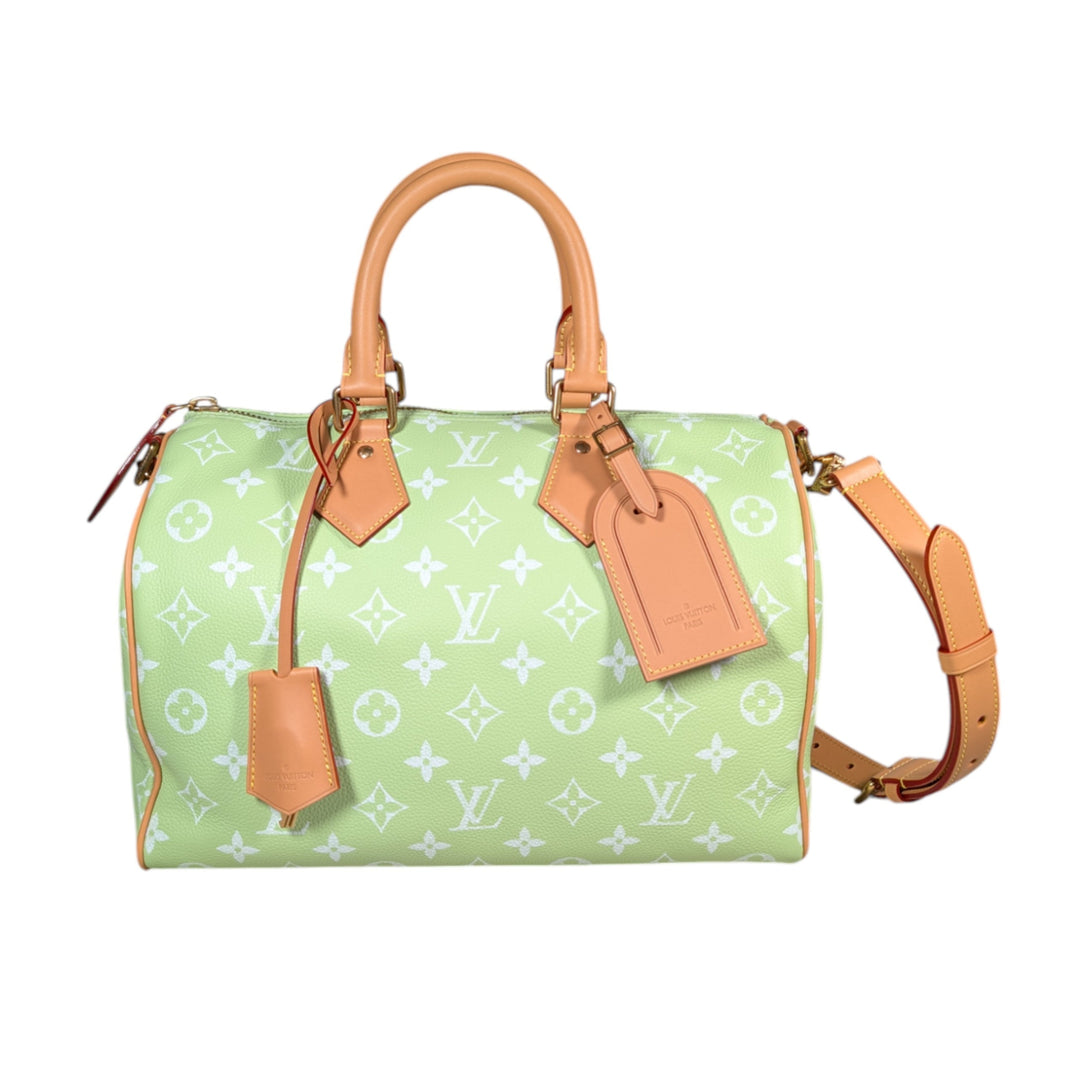 louis vuitton speedy 25