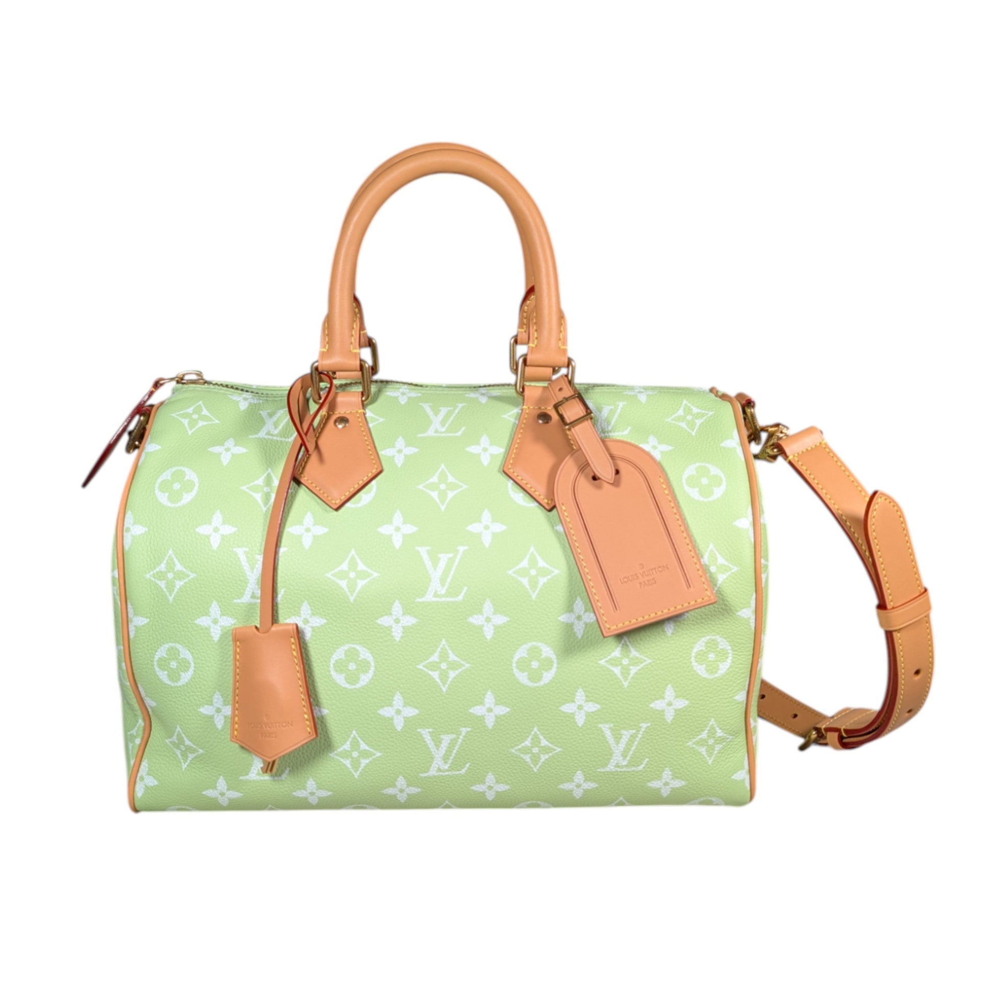 louis vuitton speedy 25