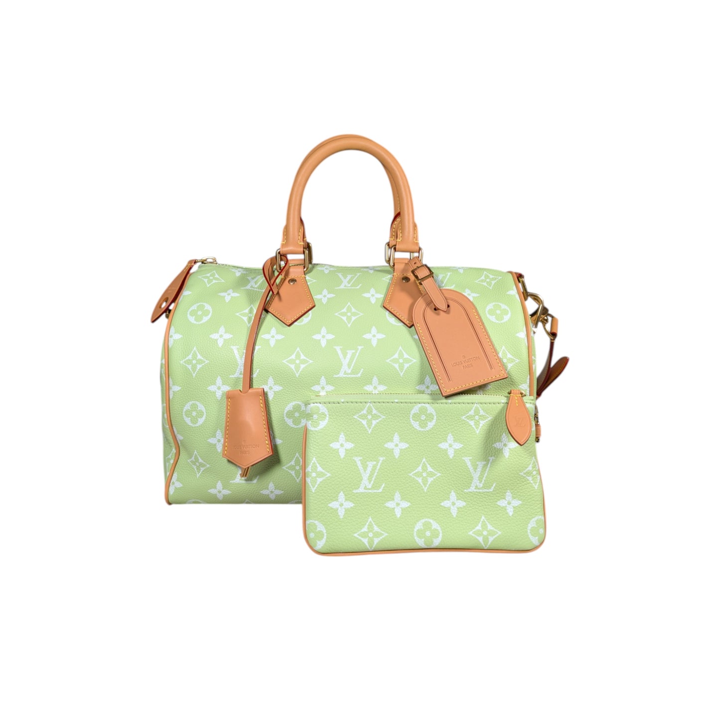 lv speedy bag