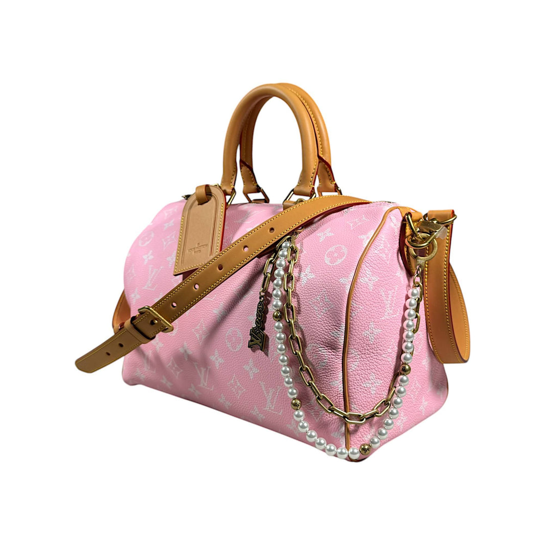 lv speedy bag